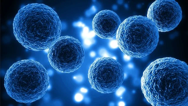 Cell Therapy Market Demand Surges in India